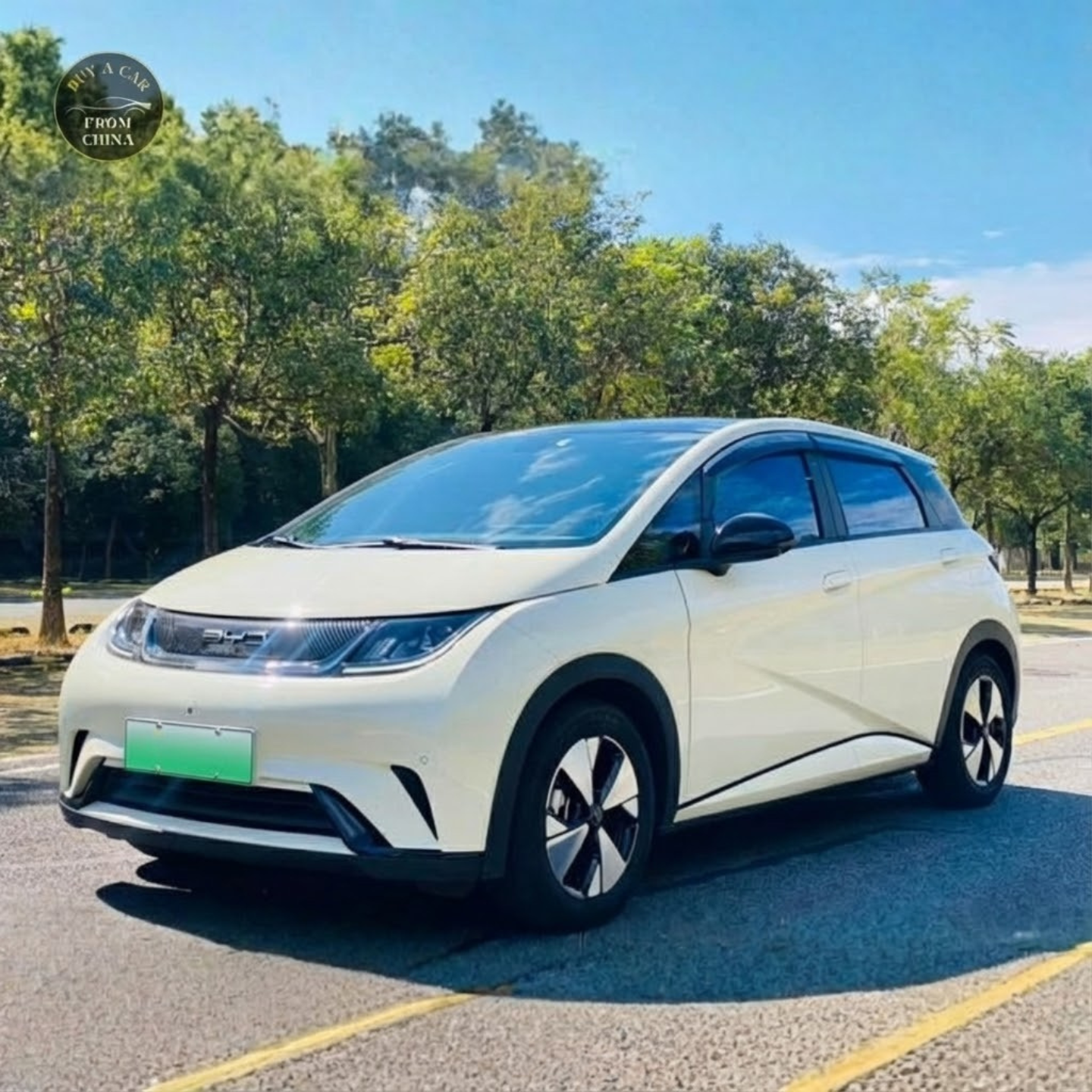 2023 Used BYD Dolphin 95 PS 420km range