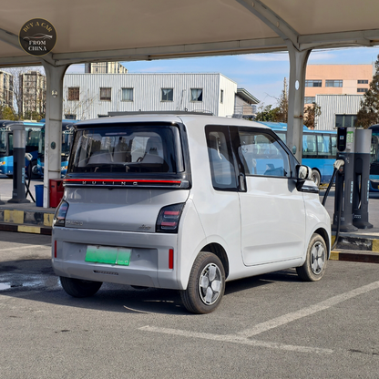 2023 Used Wuling Airev EV 300km 