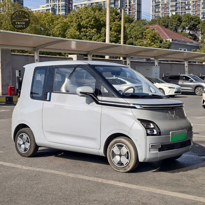 2023 Used Wuling Airev EV 300km 