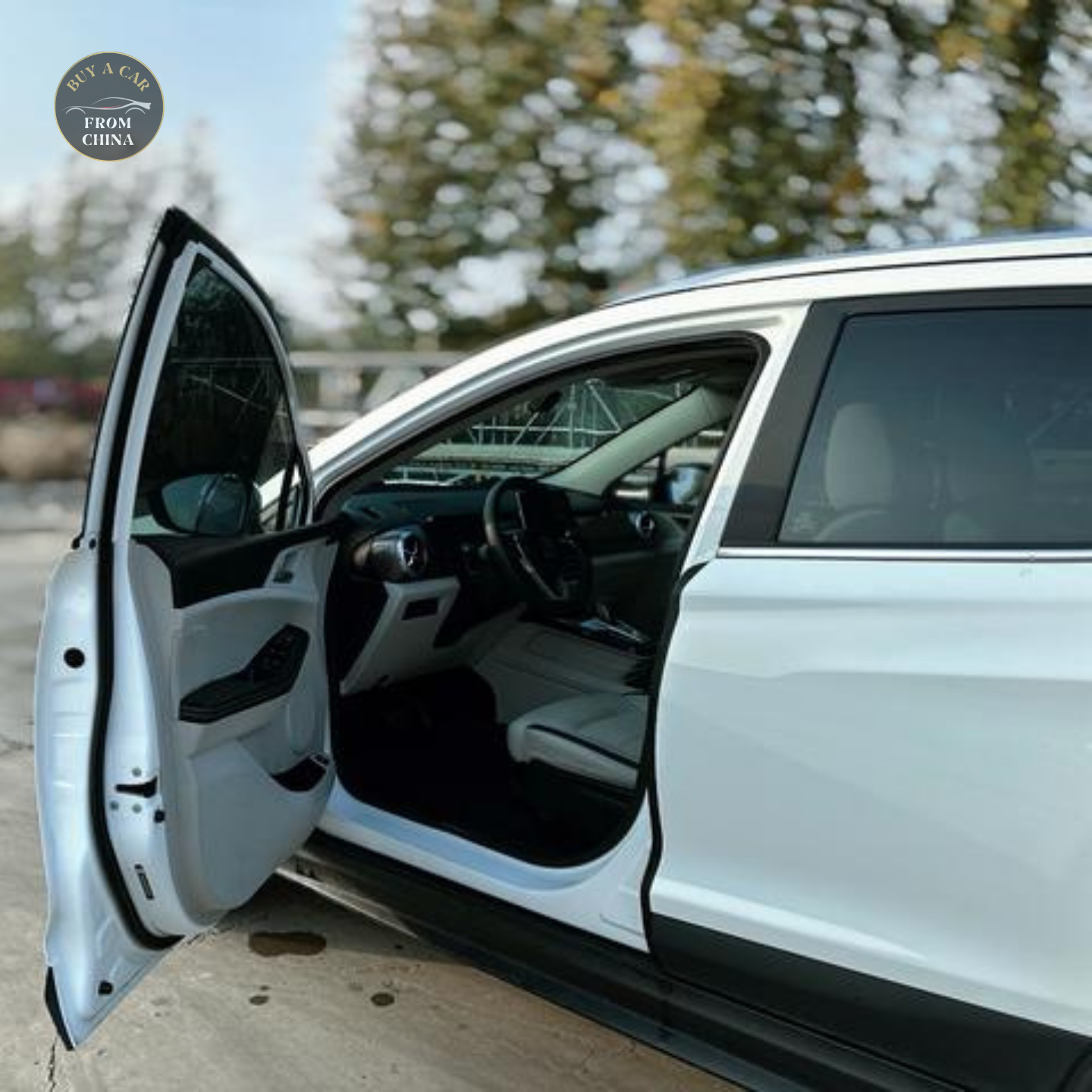 2022 Used BYD Yuan Pro 136 PS 401km range